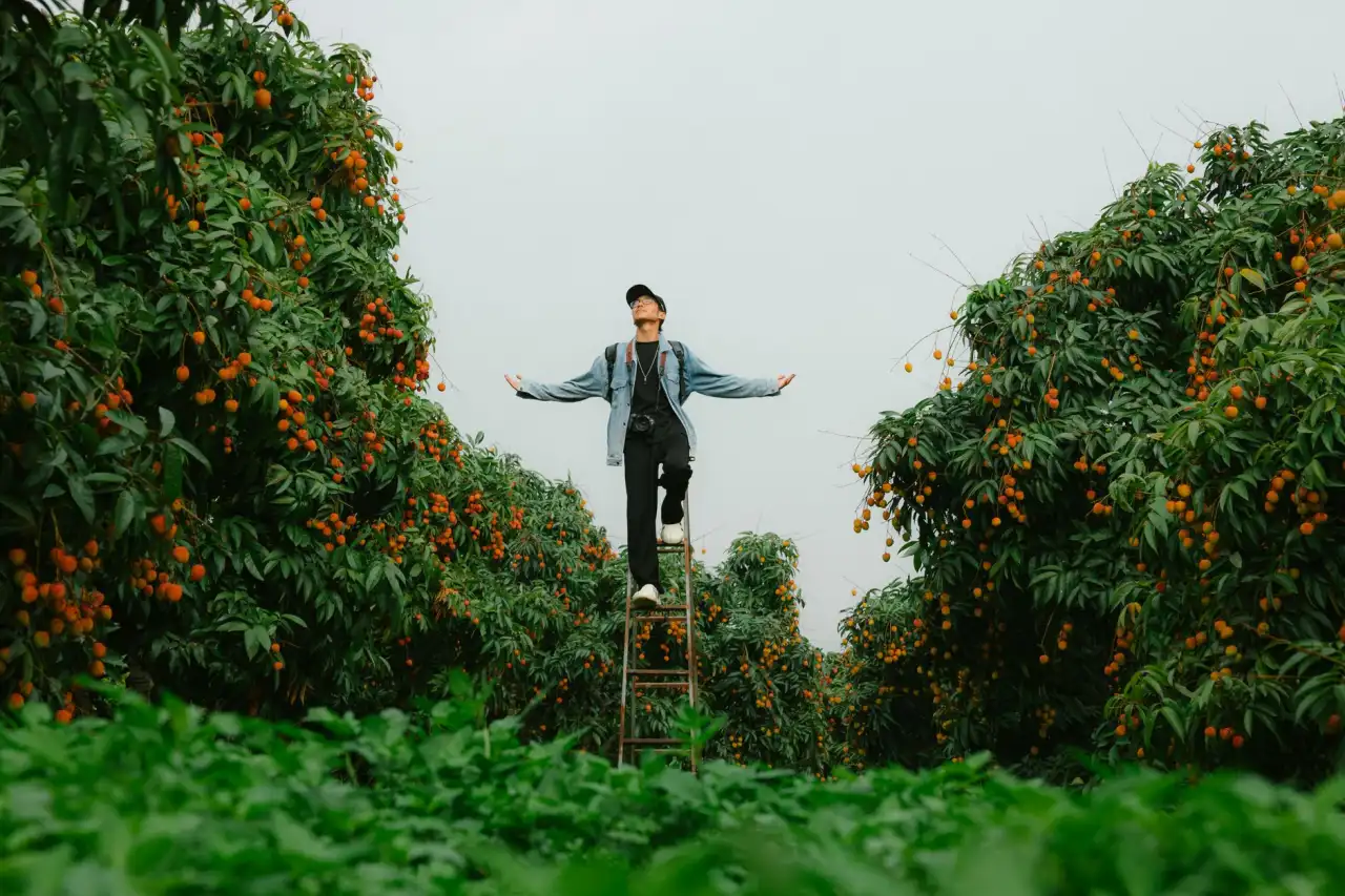 太阳能路灯与市电路灯对比：西南地区园林工程照明如何选择正文配图 1
