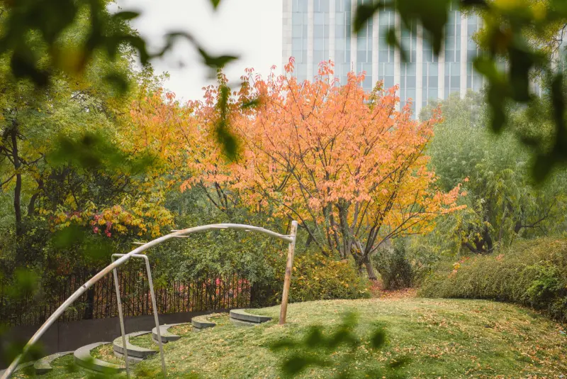 太阳能路灯与市电照明对比：景观亮化工程的节能效益分析