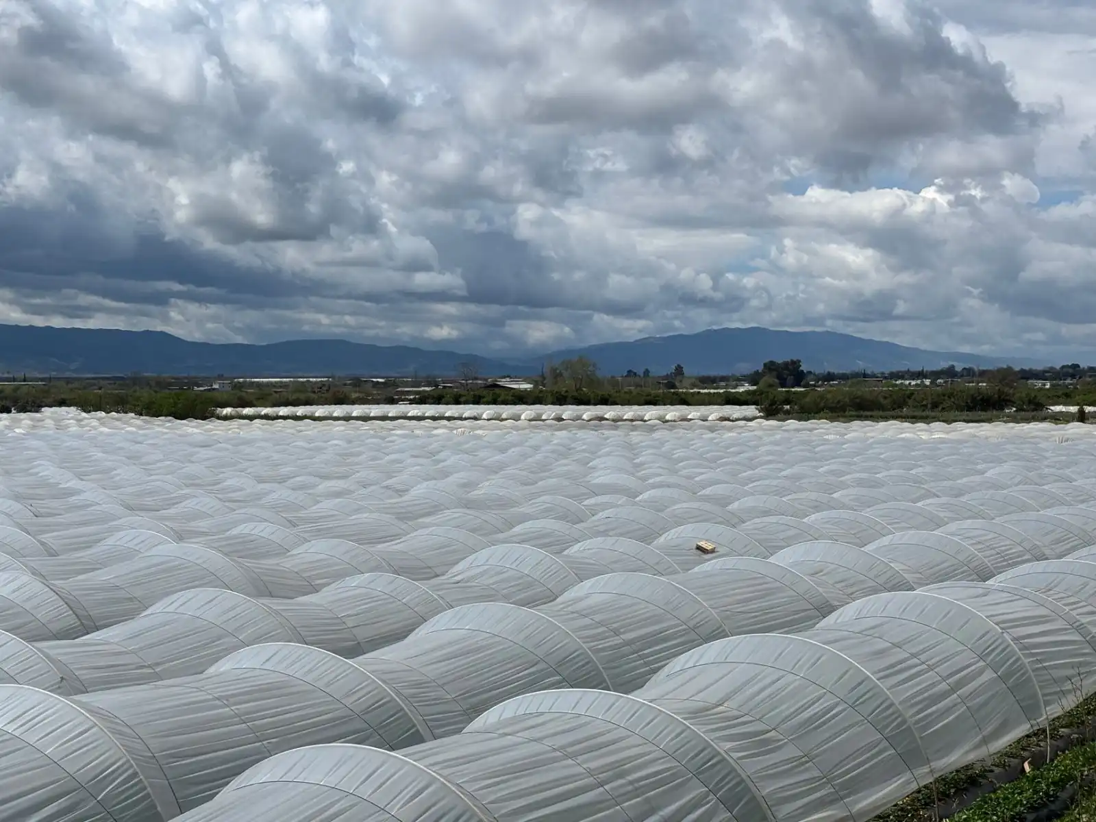 太阳能路灯与市电路灯对比：西南地区园林工程照明如何选择