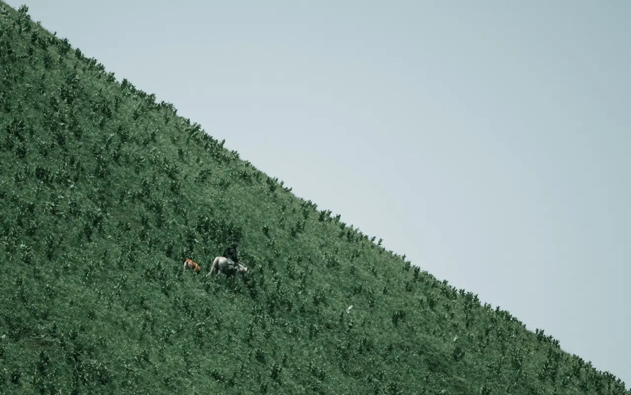西南地区新农村太阳能路灯选型要点与配置方案